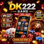 DK222 Game
