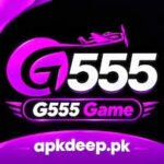 W555 Game